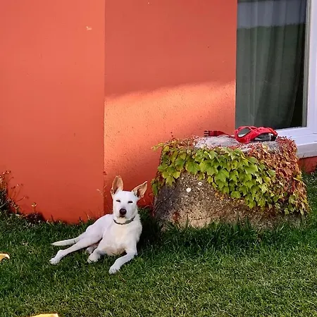 Сasa de vacaciones Casa Ruiva no Oeste (Portugal West Coast)